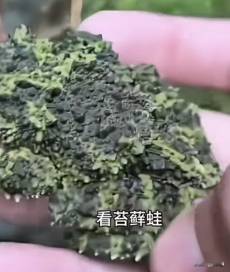 如果明天能收到一条好消息，你希望是什么？我不敢说，也不敢想，太恶毒了。
每个人来