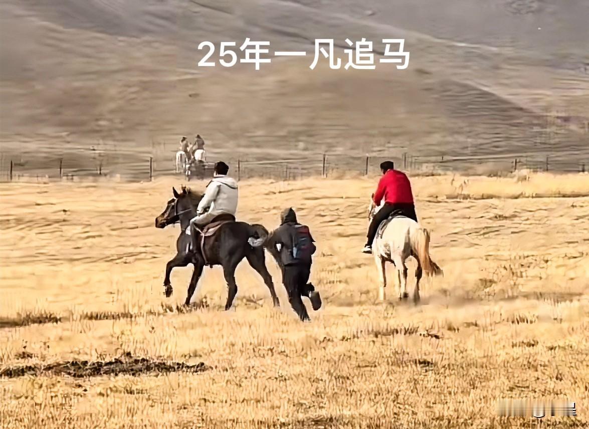 又看到明星员工一凡了
董宇辉在马上飞，他在地上飞[笑哭]
身手之矫健不亚于那匹马