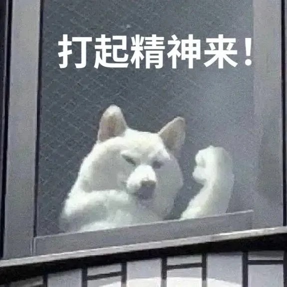 我当下的精神状态： ​​​