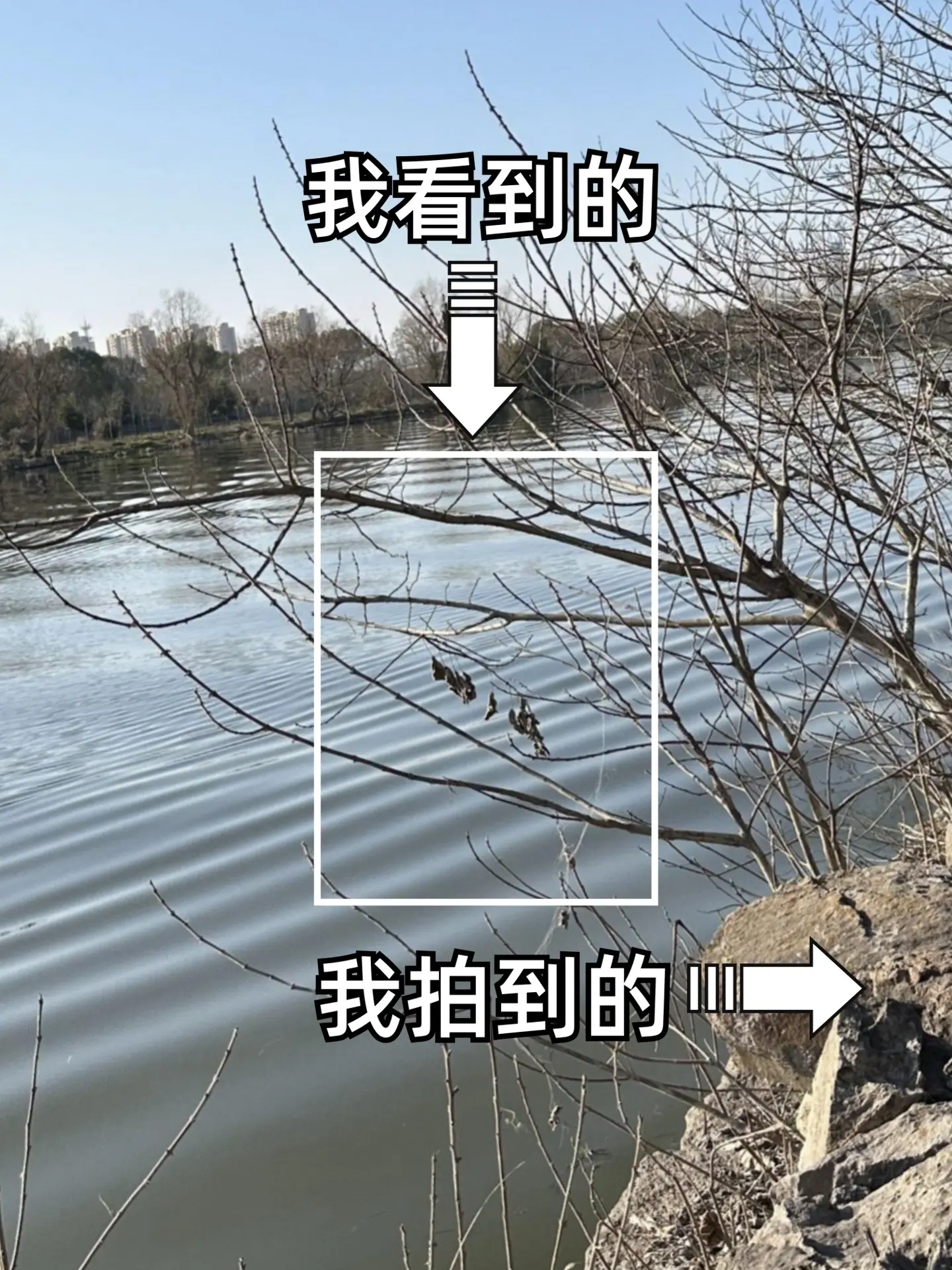 我看到的vs我拍到的，犭央犭茶湖古纤道。绍兴一定要去央茶湖，正确的说法...