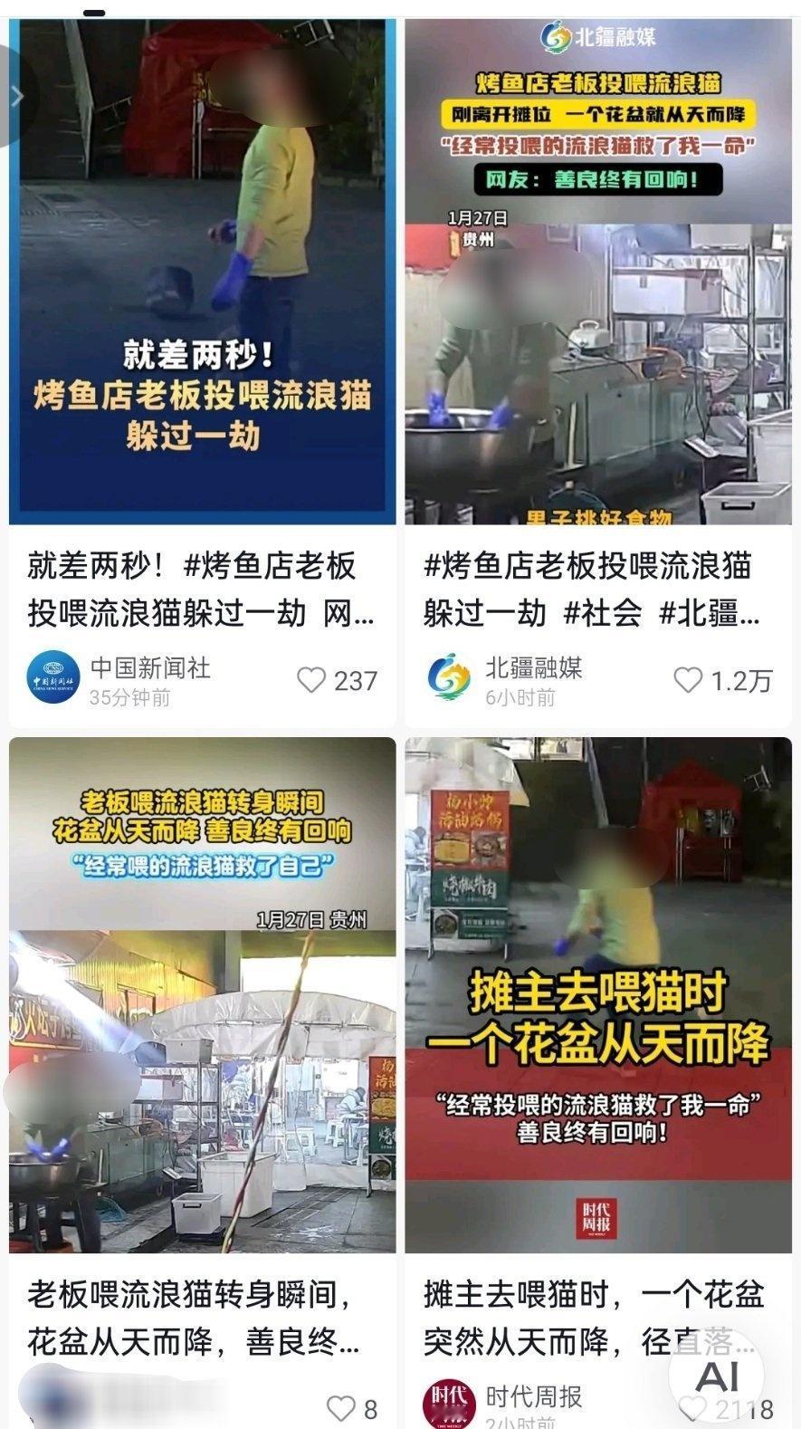 🔻这个位置为啥会有摄像头机位，平时有直播吗？大家都在关心喂流浪猫，没人关心把扔