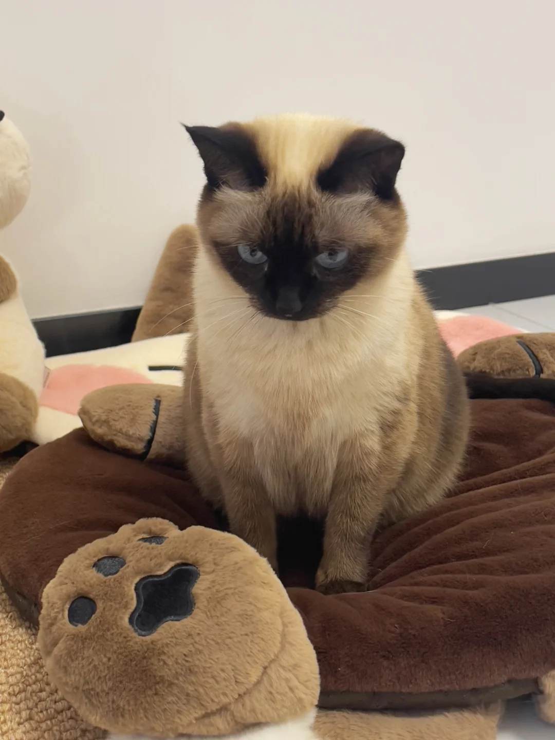 不给她开空调就生气了🥺