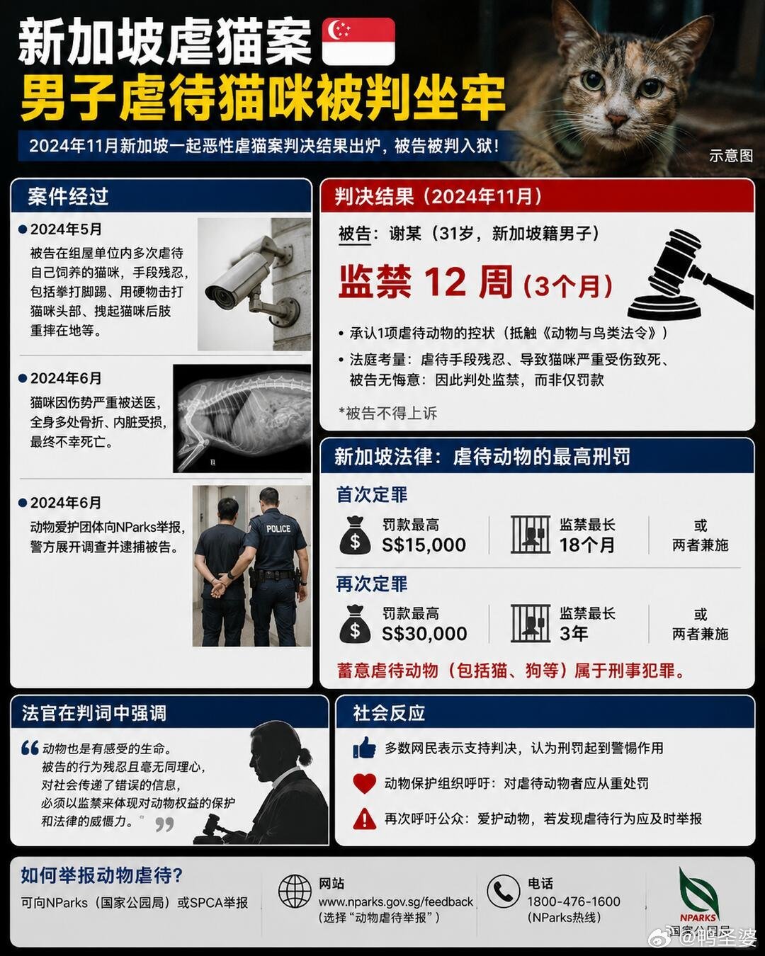 -监禁31个月（2年7个月），出狱后12个月禁止饲养任何动物刷新新加坡动物虐待案