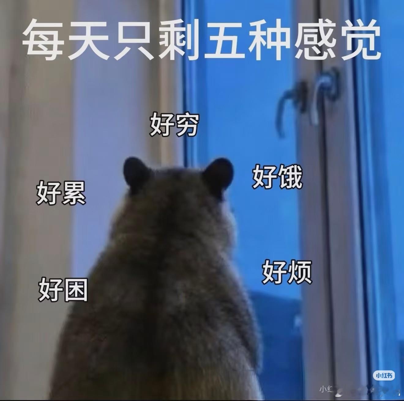 晚安😴 ​​​