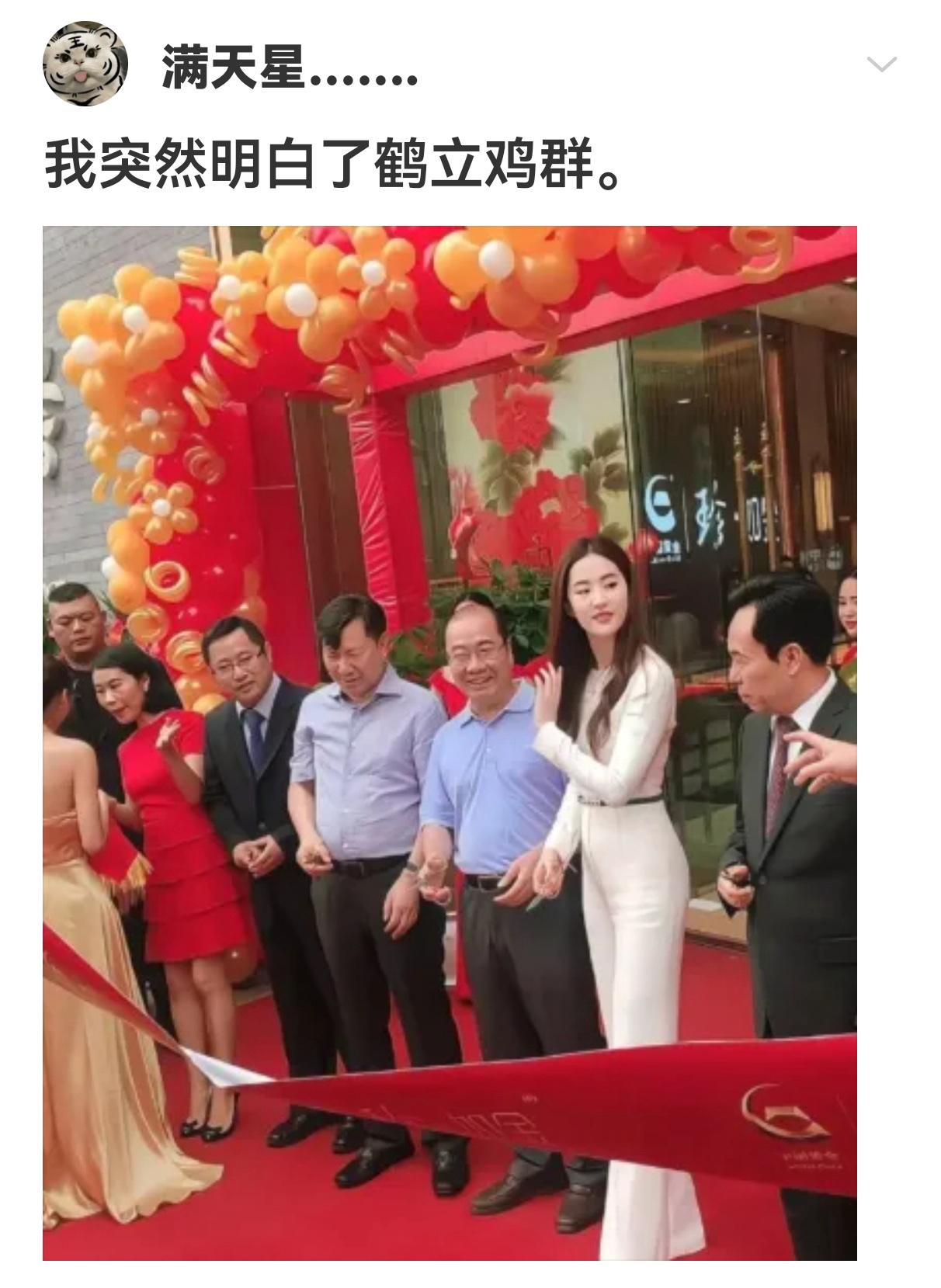 我突然明白了鹤立鸡群