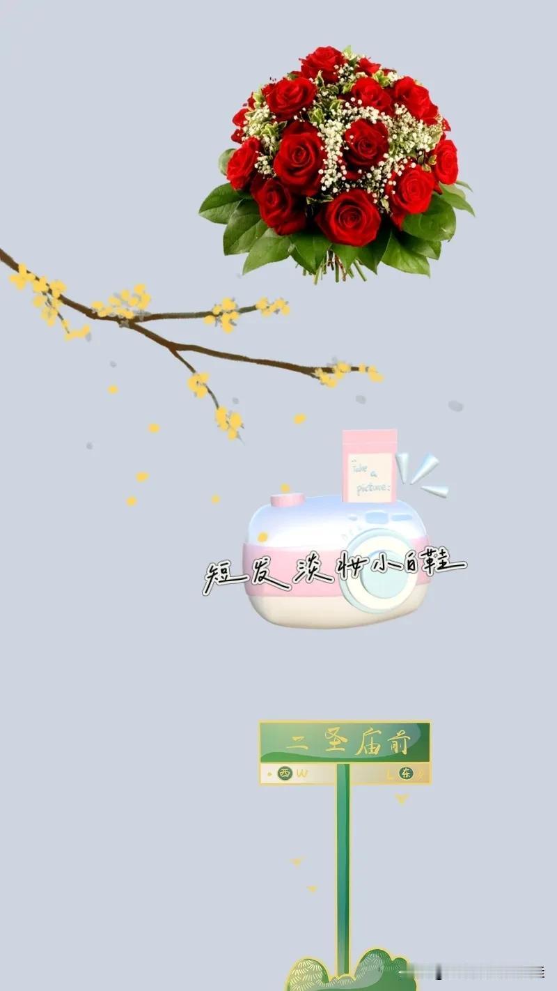 一束鲜花 一杈树枝 一个照相机 一个站牌，打一成语————
一束鲜花：图最上方有
