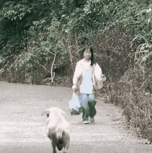 狗对主人太热心了