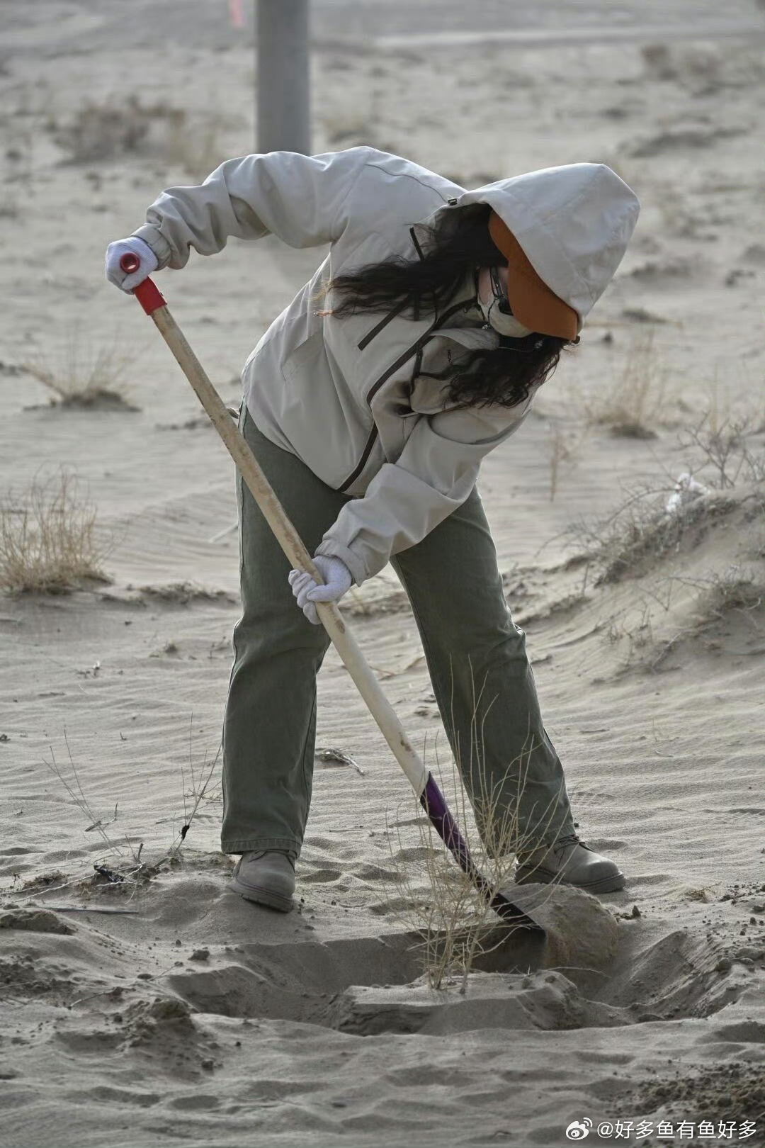 武汉大学生喜提梭梭树主理人身份春天给武汉的请柬 武汉大学生逛春日市集解锁梭梭树主