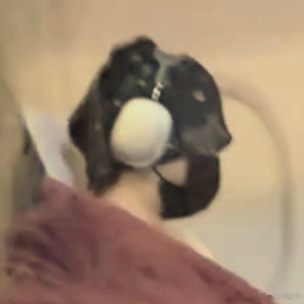一颗🥚 