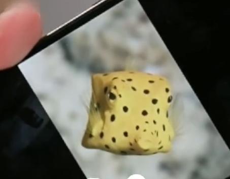 太像了，粉丝给董宇辉发了张照片，董宇辉被气炸了，还要把门拆了，以后直播间不允许出