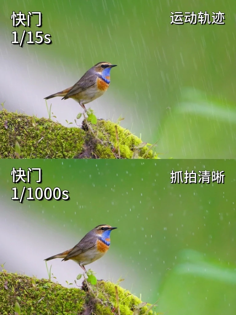 曝光三要素和常用的四种拍摄技巧！