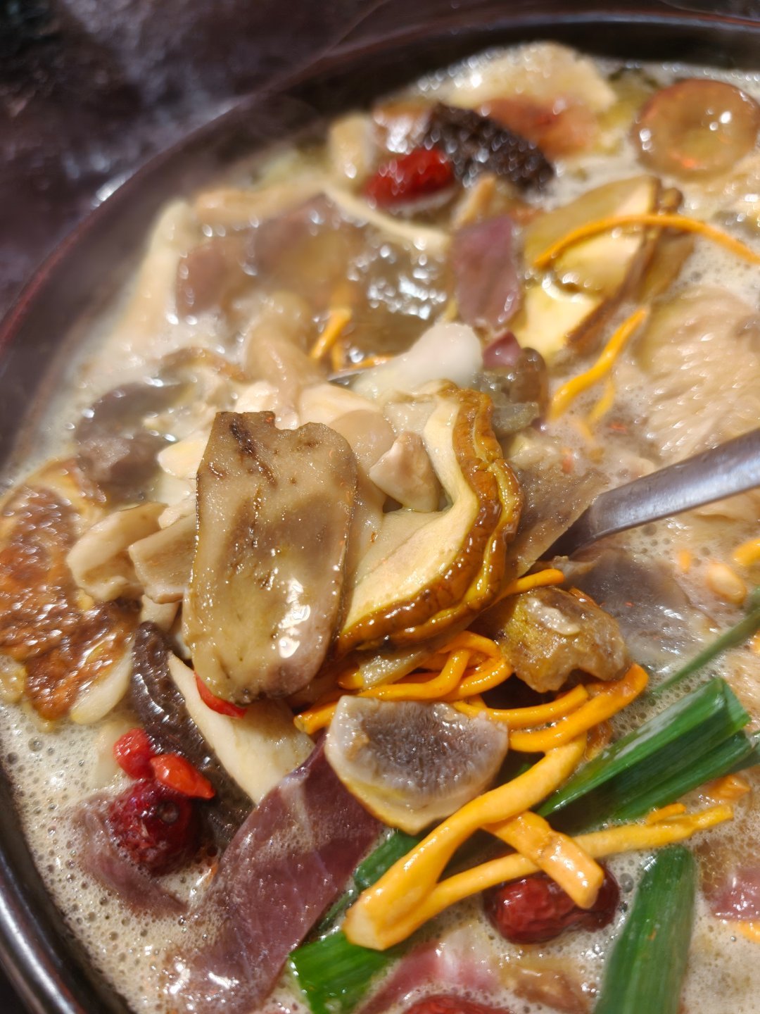 你好菌子今天问题不大，见手青少 
