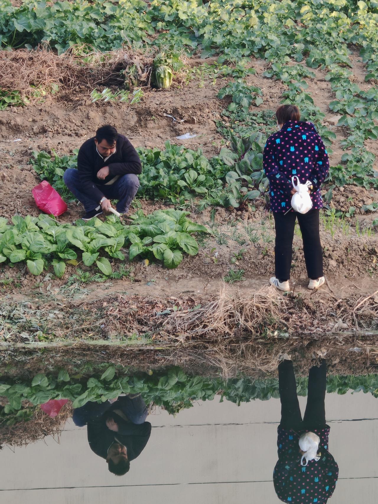 起早鸟儿有虫吃