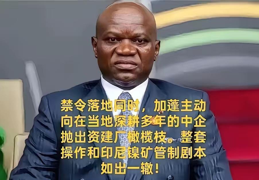 照搬印尼镍矿套路！加蓬叫停锰矿原矿出口，逼中方交出核心冶炼技术！禁令刚落地，加蓬