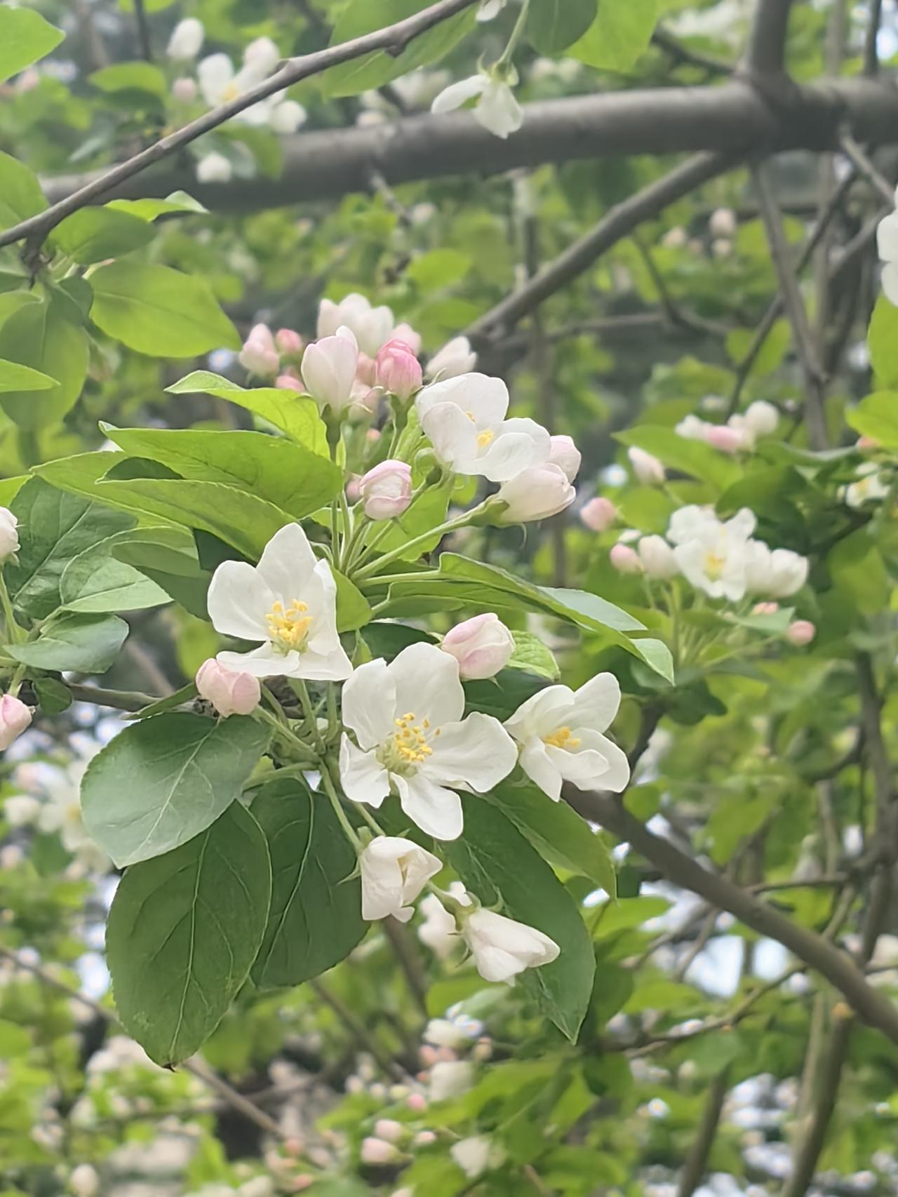 最近，我越来越觉得，
生命中所有的遇见与别离、得到与失去，
其实都是最好的安排。