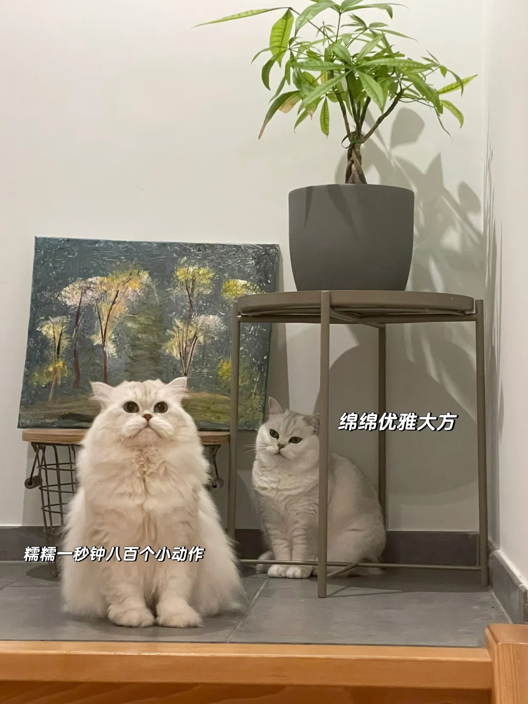 文静绵绵和她的ADHD儿子
