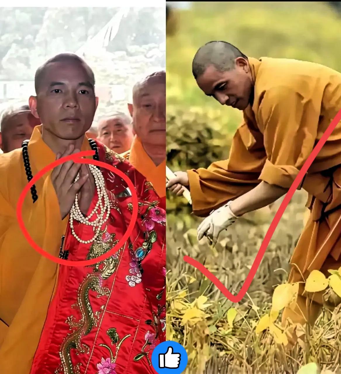 你们听说了吗？
印乐法师这操作，据说不出三年，少林寺和尚能跑掉一半多！为啥呢？