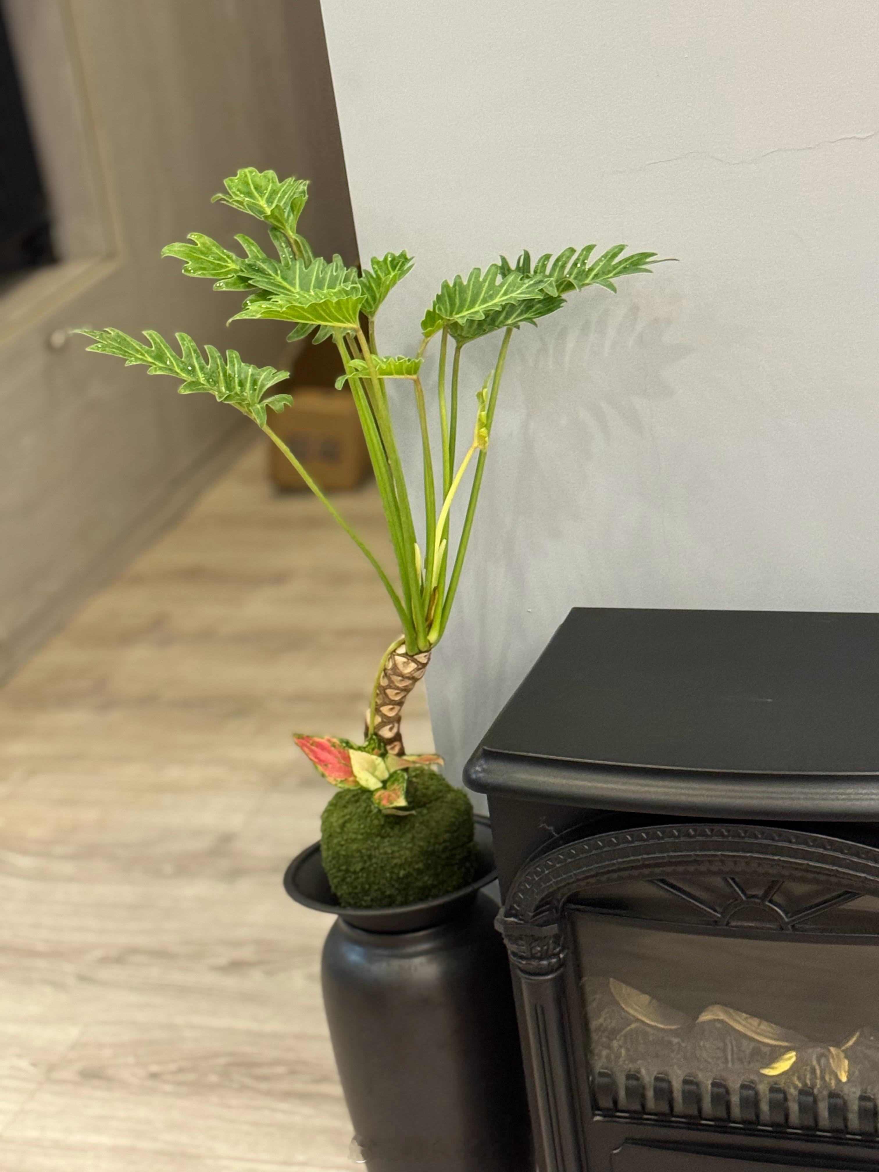姐妹们，去看电影一定记得带件外套～电影院的冷气太足了，瑟瑟发抖的看完了沈腾的新电