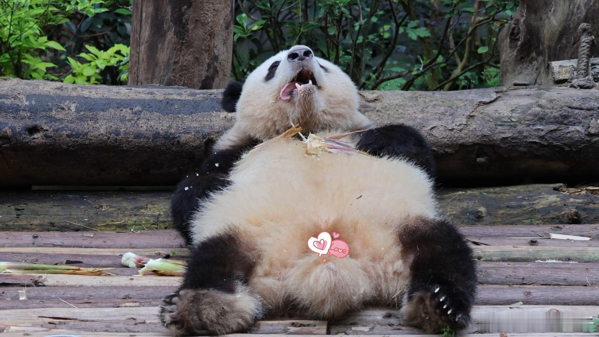 人生真是关关难过关关过，不过这或许是一种乐趣和意义吧