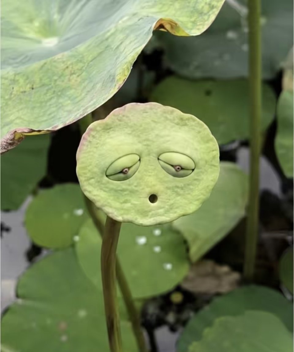 屏蔽掉好多文案非常无聊空洞乏味，没有自己思想，只会到处搬运的号，世界清净了，言之