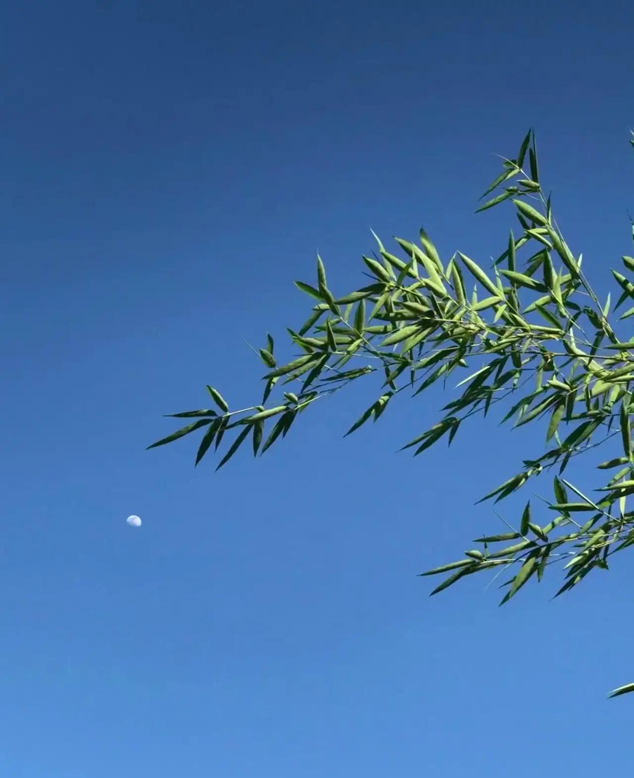 这段话，已婚的未婚的都沉默了：

“选择与一个经济条件困难的人结婚，你不得不