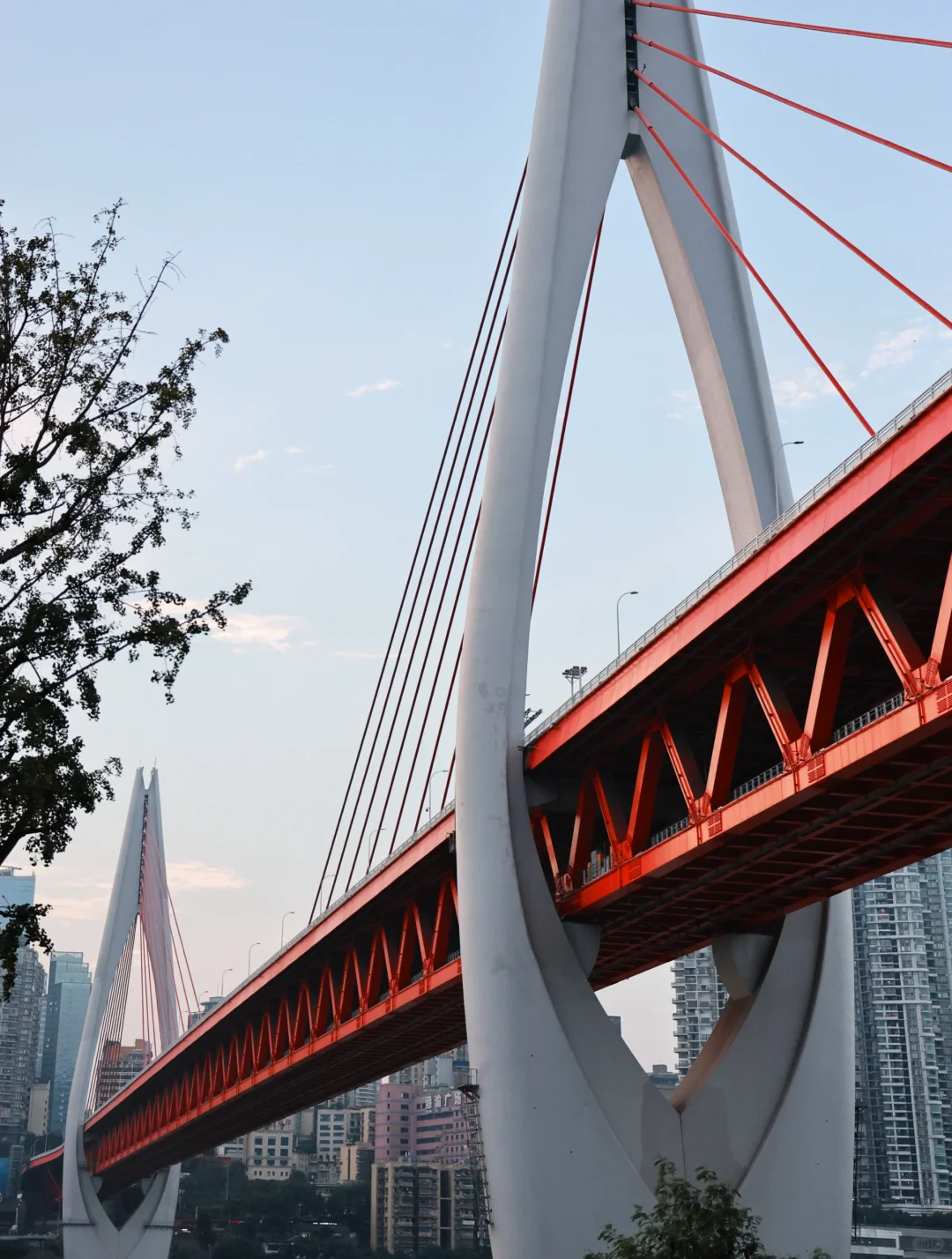 所以重庆的这座桥叫什么