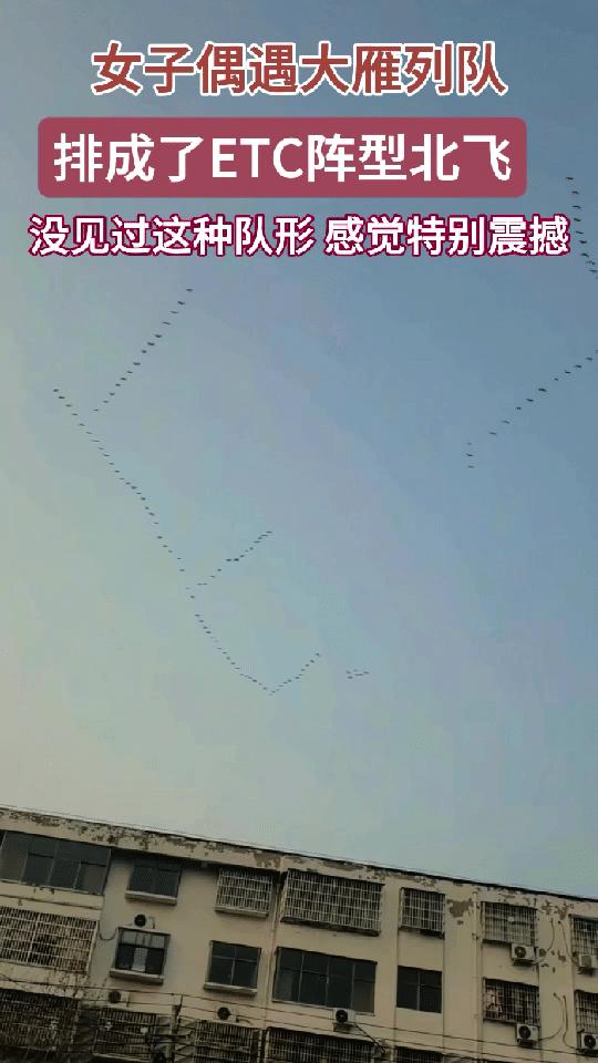 河南，一女子接孩子放学，发现有人指着天空，嘴里在说些什么，女子抬头一看直接傻眼了