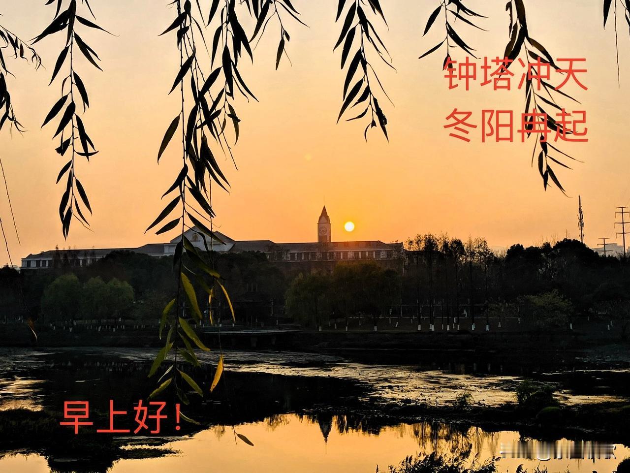 分享一张最近随手拍的照片