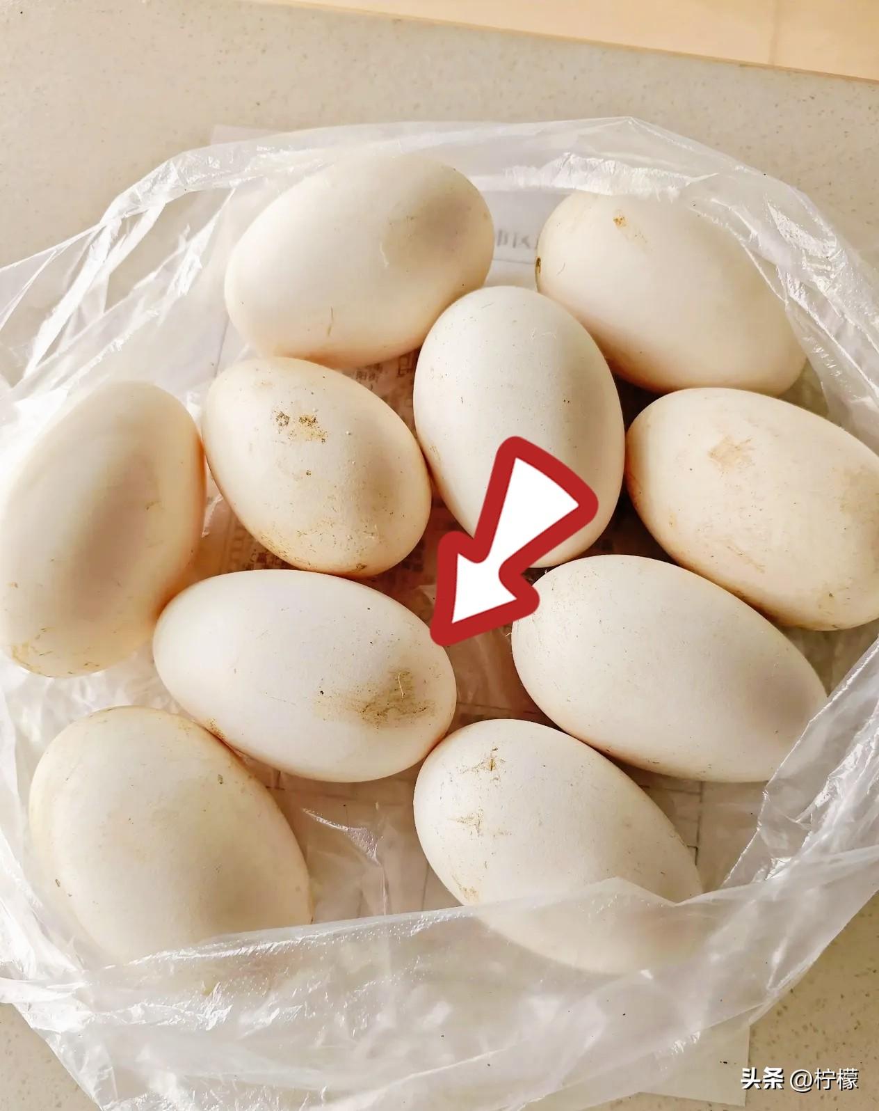 有没有像我这样
吃鹅蛋吃了两三年的？吃了几年后才发现它的好，从以前浑身没劲到现在