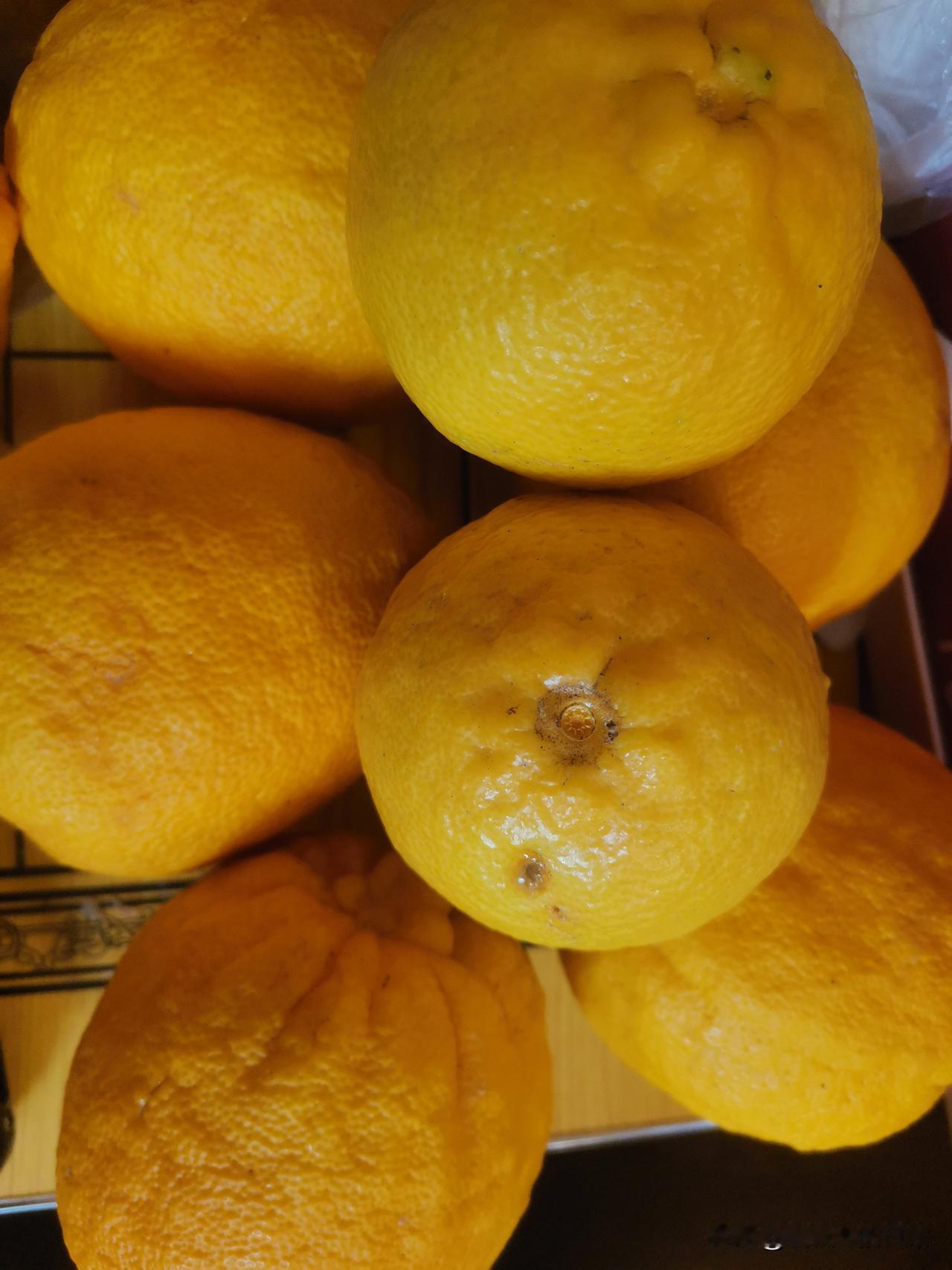 最近天气干燥，老公燥咳不断，没有办法。

后来，我在镇江后山采摘了几个橙子。
