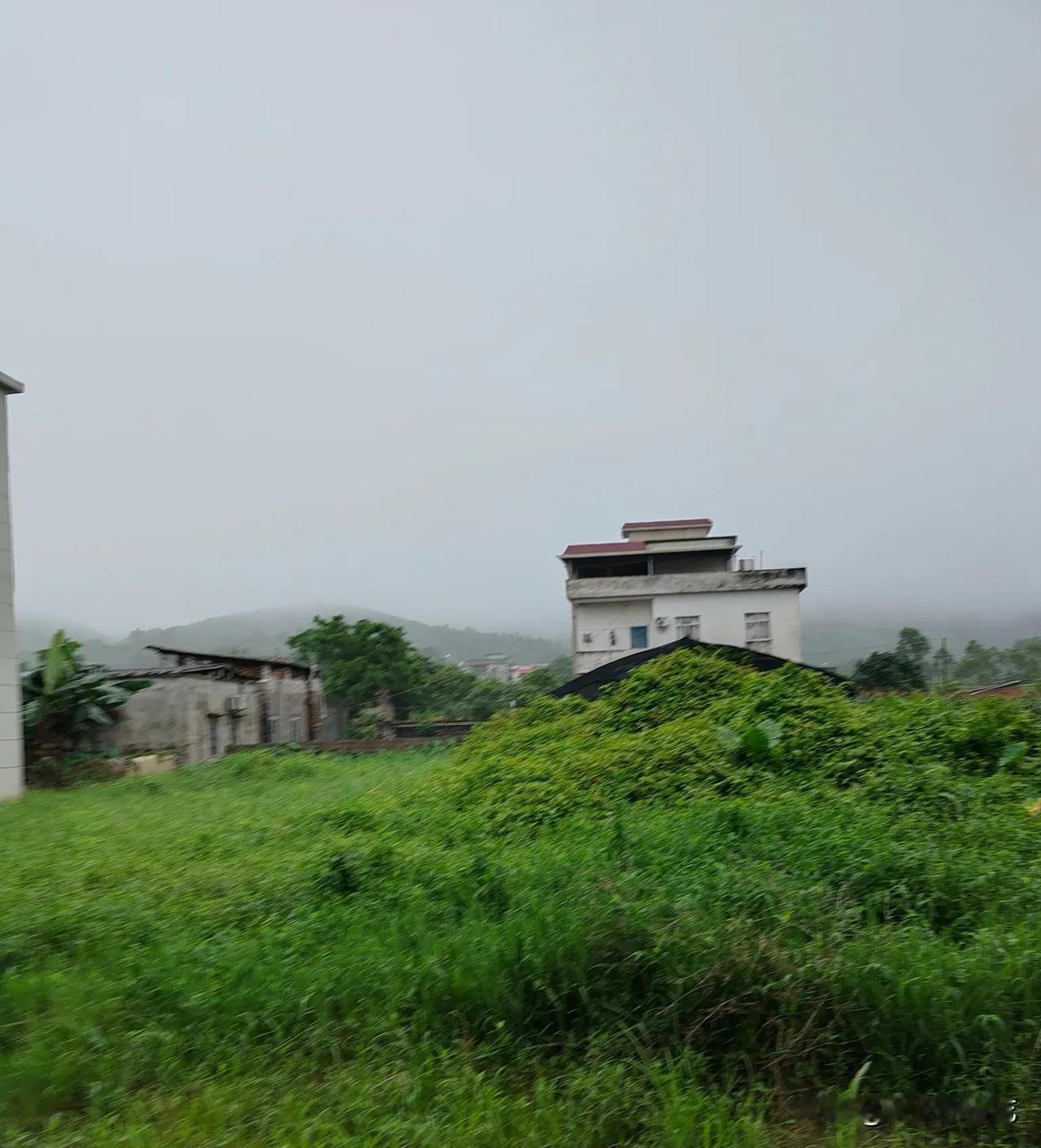 五婶特别羡慕我婆婆，两人都是70多岁的老人，但是我婆婆和周围卖菜的人非常合得来，