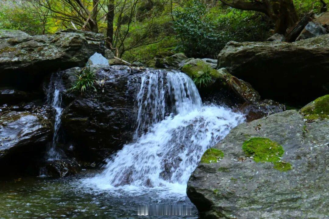 三伏天的燥热，总需要一片山野治愈✨甘肃避暑好去处藏在康县两河镇的夏日秘境，是大自