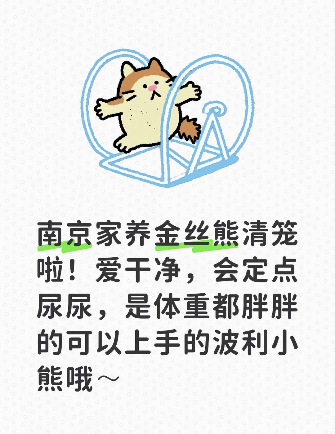 南京➗金丝熊
南京资深家庭熊舍，一月一窝保质保量预购从速。本人比较佛系，实在拍不