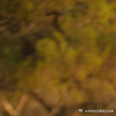 每日一善🌹阳光信用爱情是心与心的相知相惜，是无需言语也能默契传达的情感。在喜悦