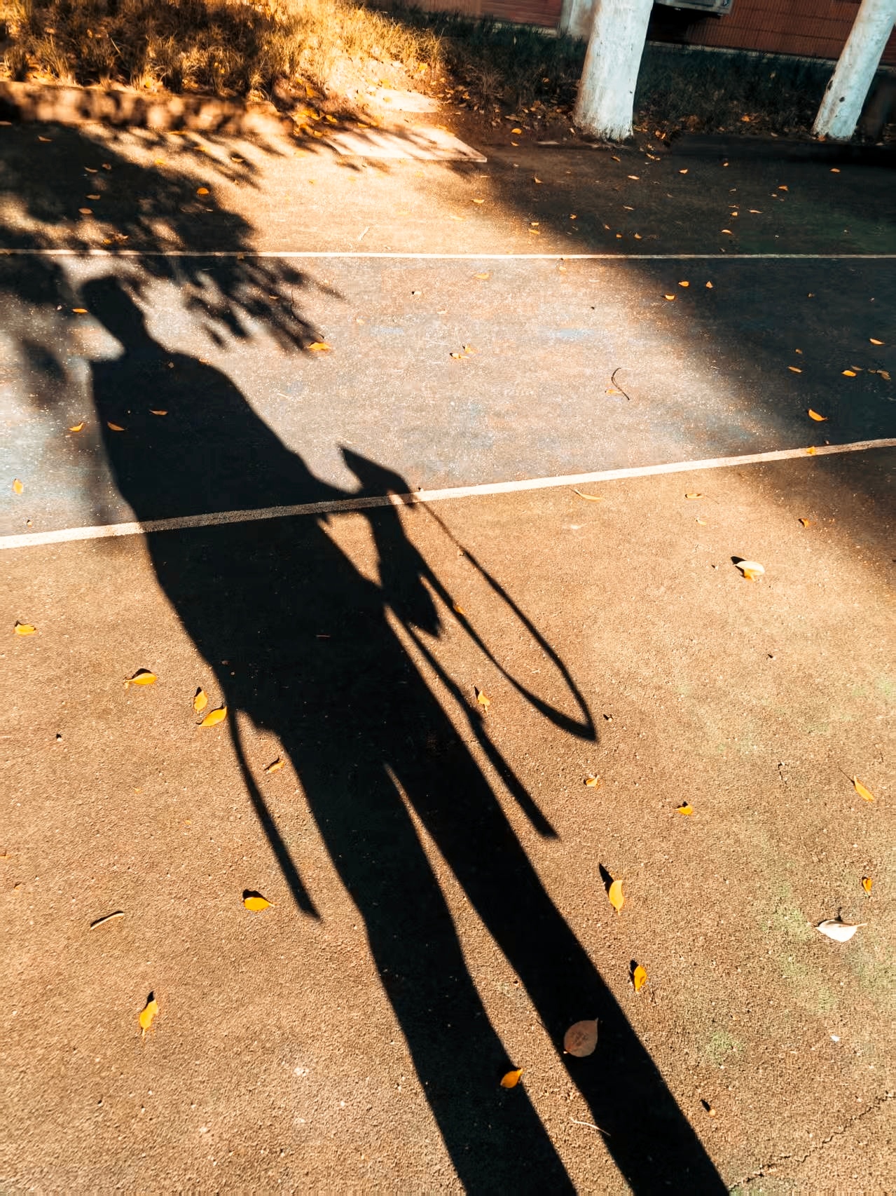 趁着不适合人类外出活动的那段时间来临前打卡川外小铁路，虽只是四月，已有些初夏的味