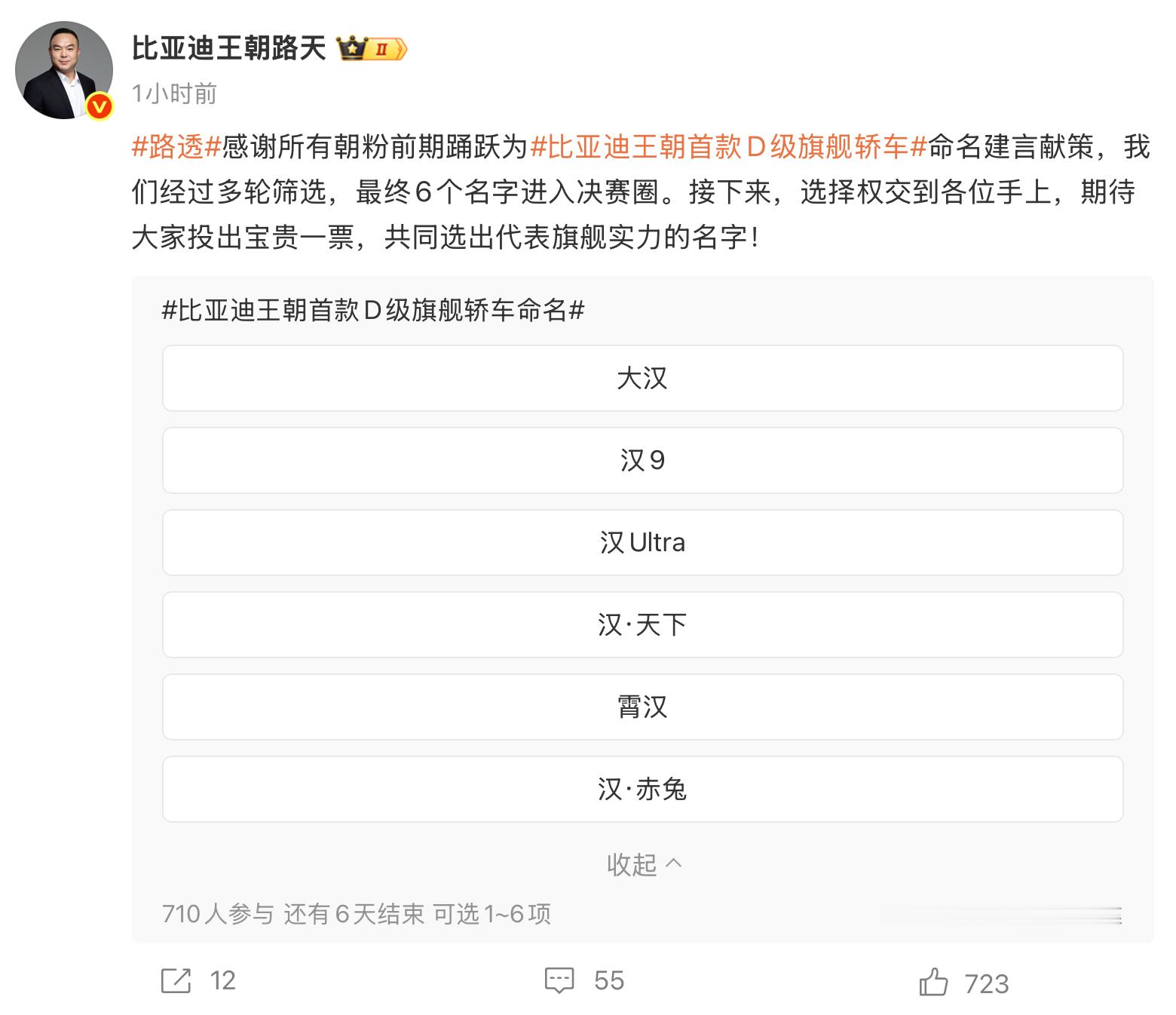 比亚迪王朝首款D级旗舰轿车 总在弄征名活动，D级旗舰，要是选大汉的话，那将来E级