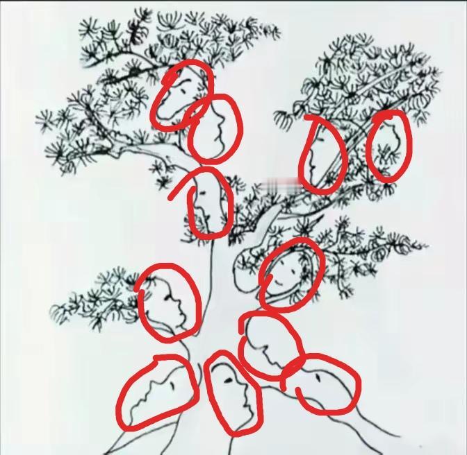 11張人臉已經找到了。