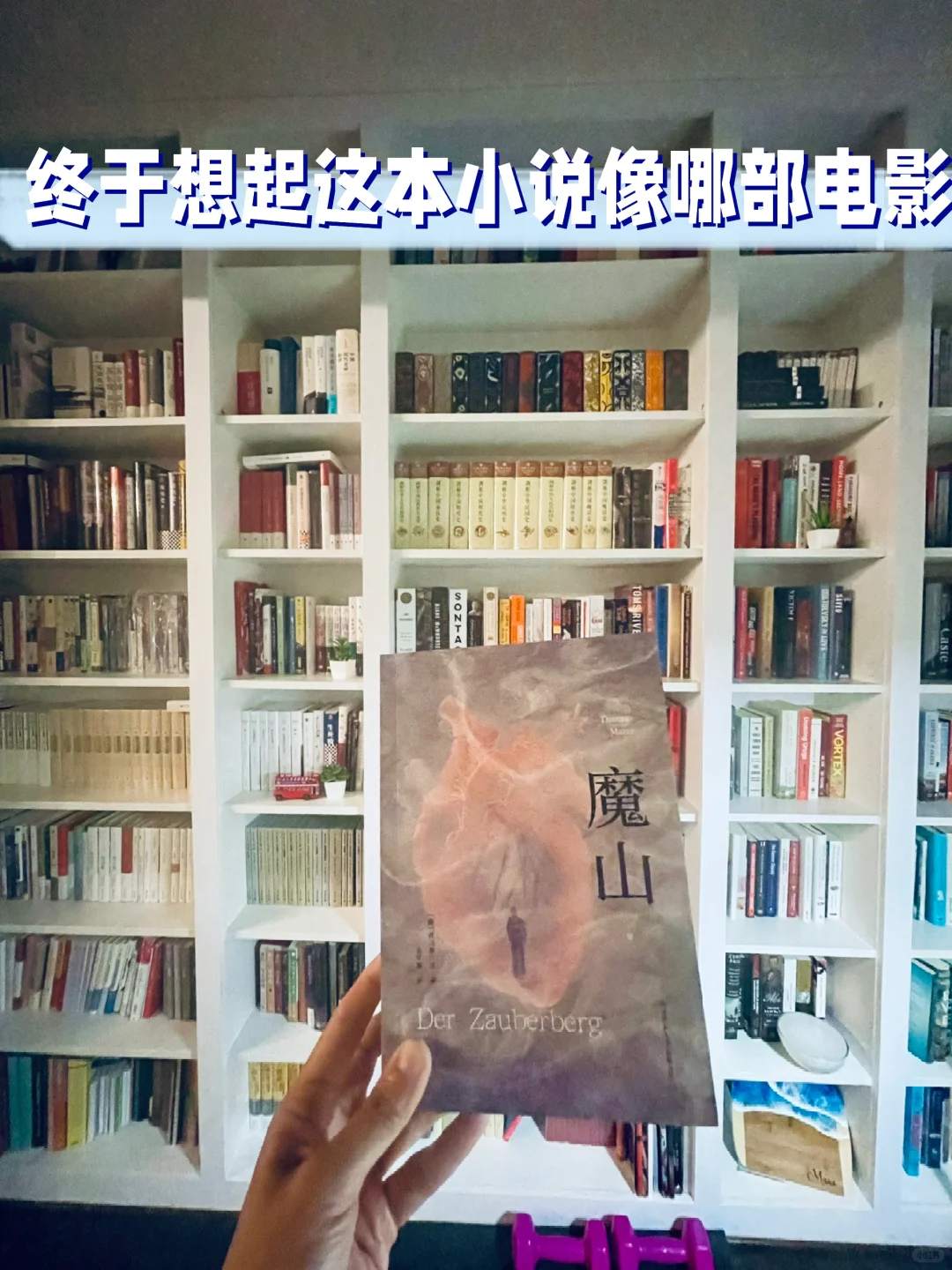读书｜终于想起这本小说《魔山》像哪部电影