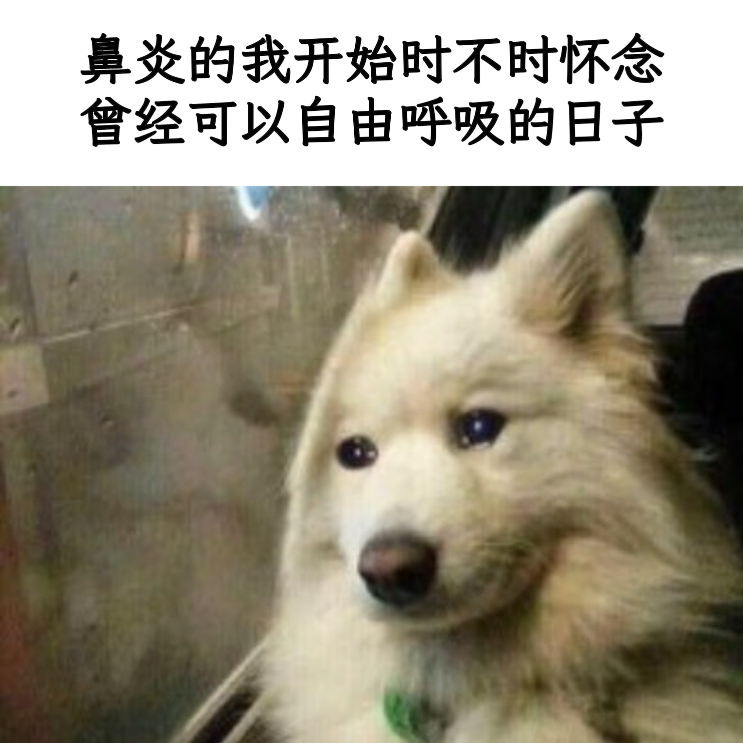 很久远了memes ​​​