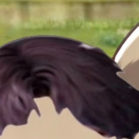 帮尘肺妈妈撑起家生活或许会让我们疲惫不堪，但别忘了，每一次喘息都是力量的积蓄。微