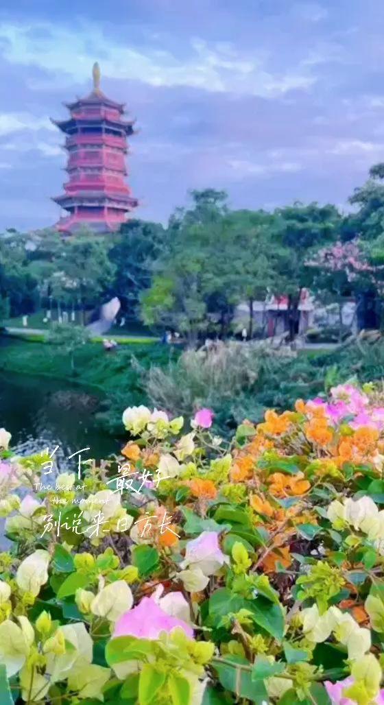 当下最好！把握住当下生活