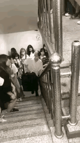 不是都说狼多肉少嘛，现在这情况该怎么说[灵光一闪]