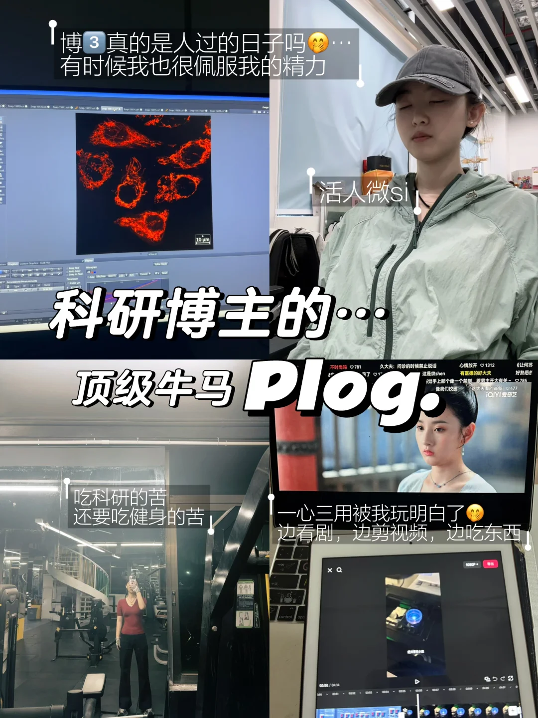科研碎碎念，博3➕科研博主，buff叠满的每一天