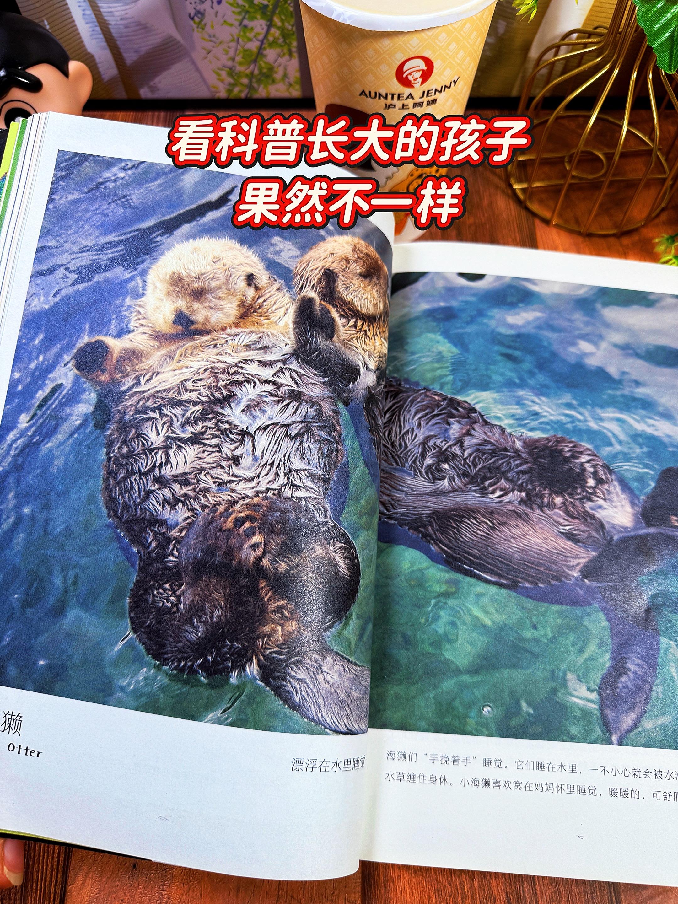 3岁就能看的科普书！全是高清实拍大图，足足 251页，包含近200种常...