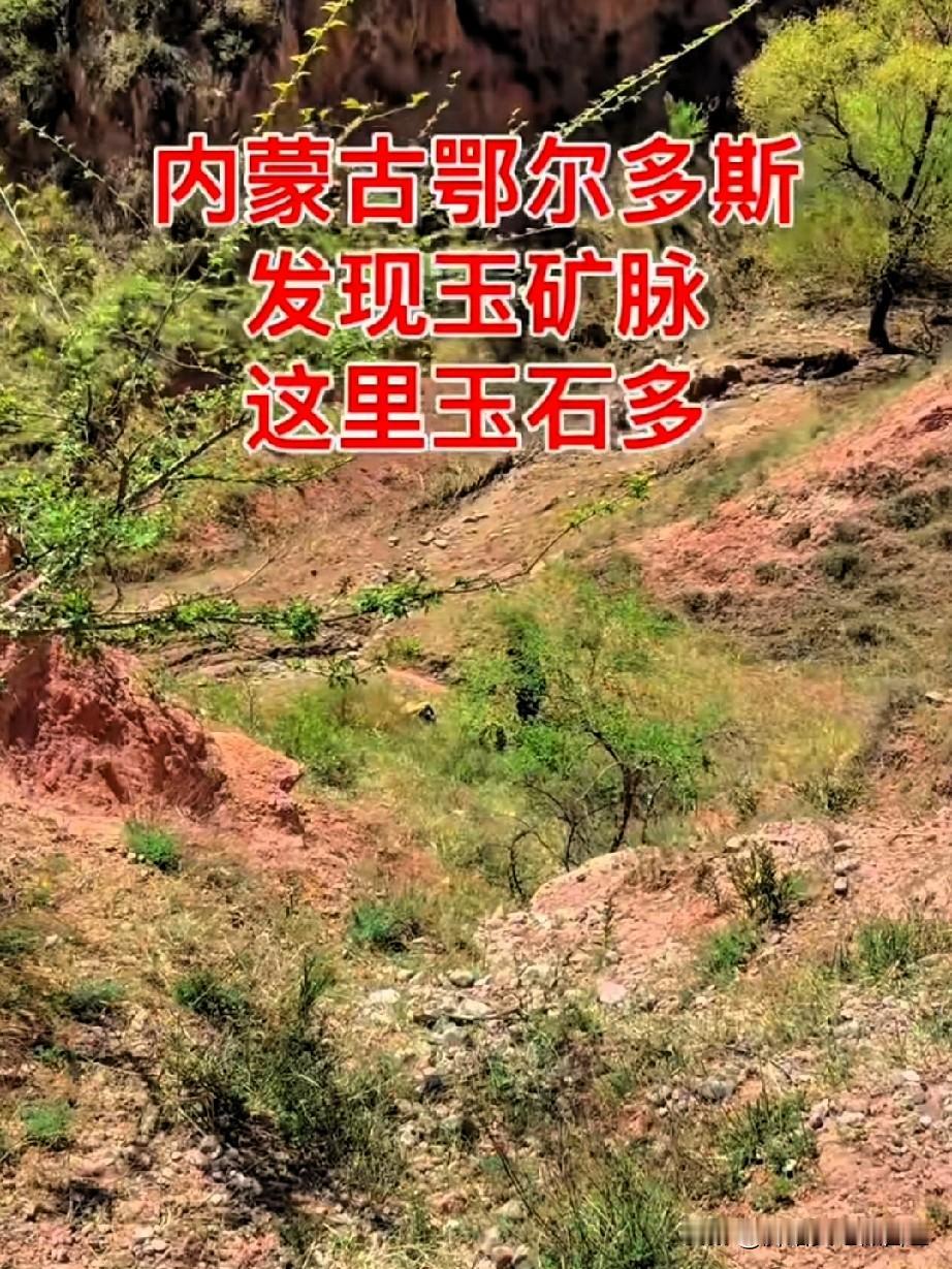 家人们！重大发现！内蒙古鄂尔多斯居然藏着玉石矿脉！实拍现场真的遍地都是玉石原石！