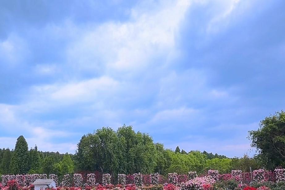 长大了才懂得平安健康就是最大的福气，不知道从什么时候开始，不再天天盼着大富大贵。