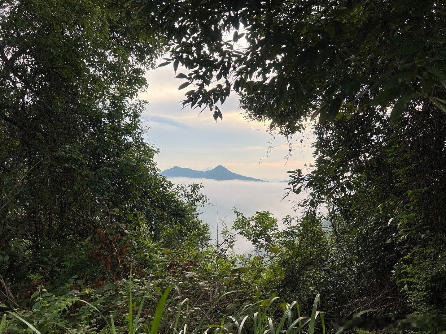 上山捕捉美景[开学季][开学季][开学季] ​​​