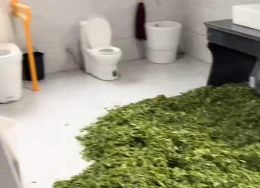 辣评｜离谱！你还敢买松阳茶吗？觉得这事儿是村民全责，还是监管更该背锅？浙江丽水景