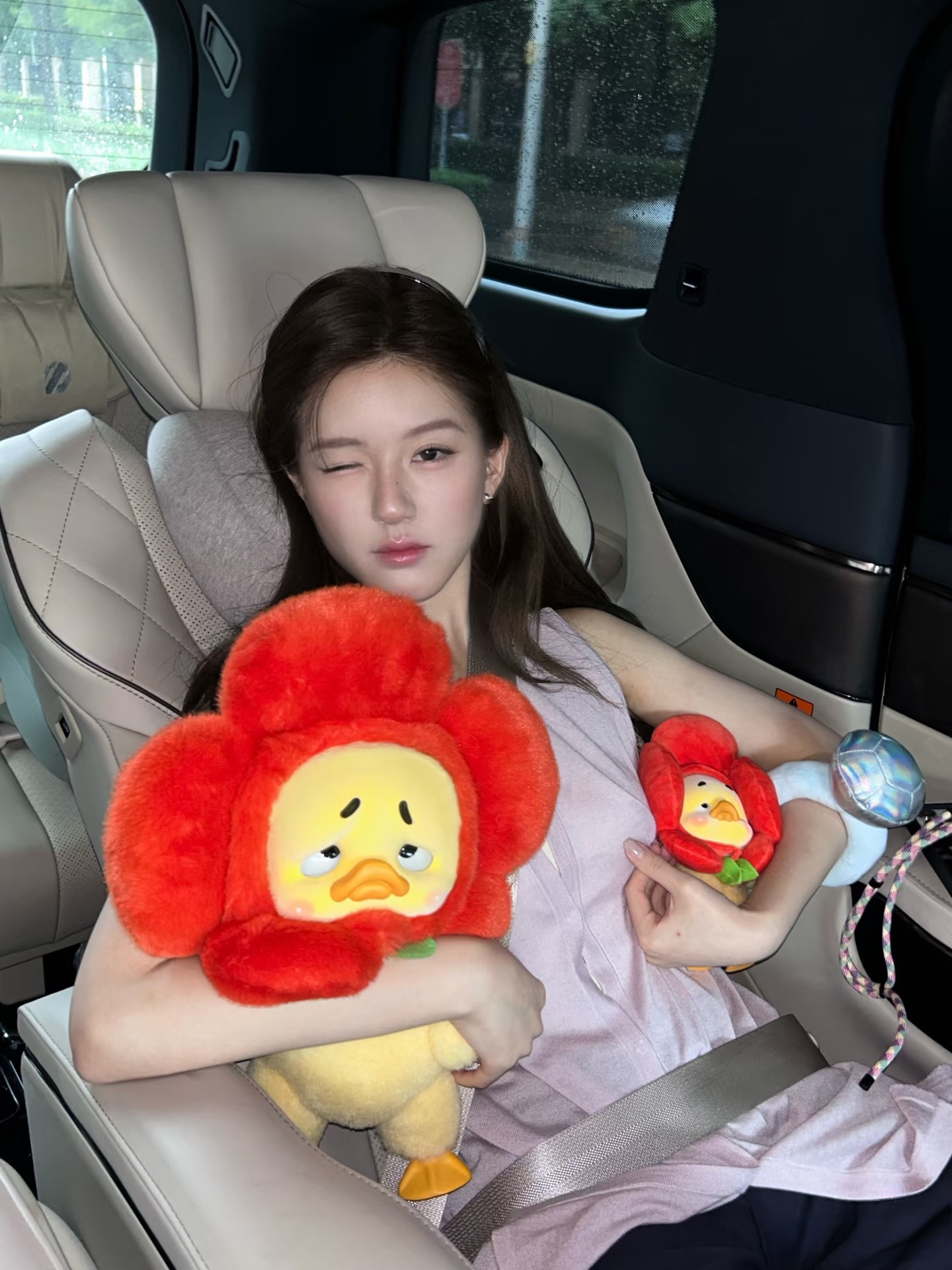 🌺❤️赵露思/520向赵露思告白