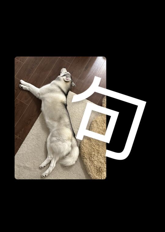 一个标准的反犬旁